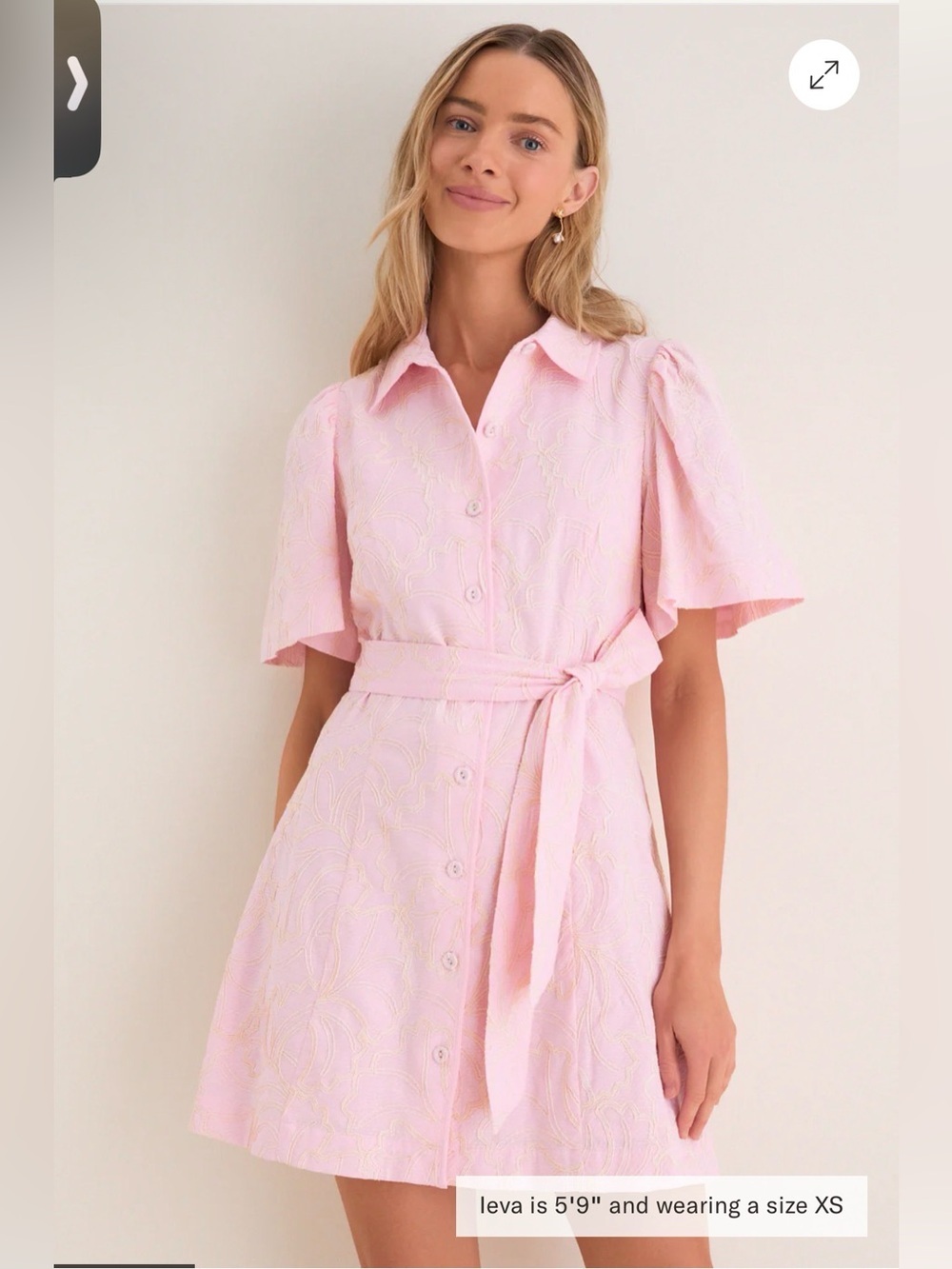 Hyacinth House Embroidered Ginkgo Leaf Peppa Mini Dress NO BELT Size S $168